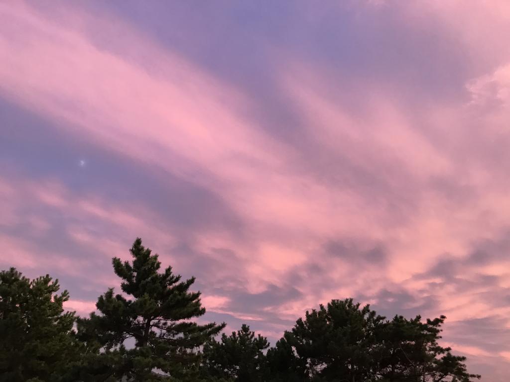 Minshuku Tairyoumaru 天草市 外观 照片