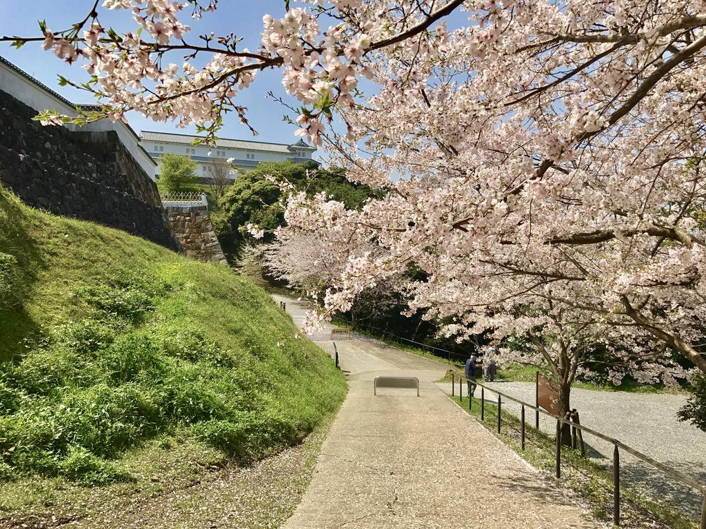 Minshuku Tairyoumaru 天草市 外观 照片