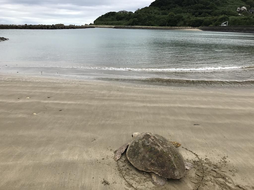 Minshuku Tairyoumaru 天草市 外观 照片